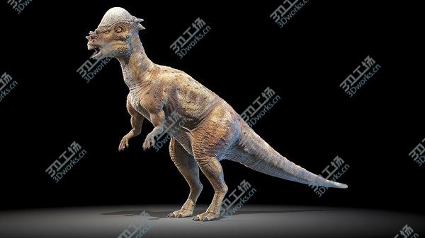 images/goods_img/20210312/Pachycephalosaurus model/3.jpg